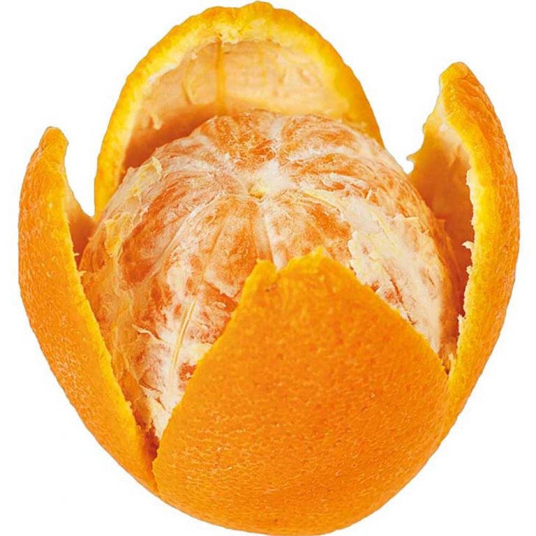 Citrusskræller - 165 mm - Image 2